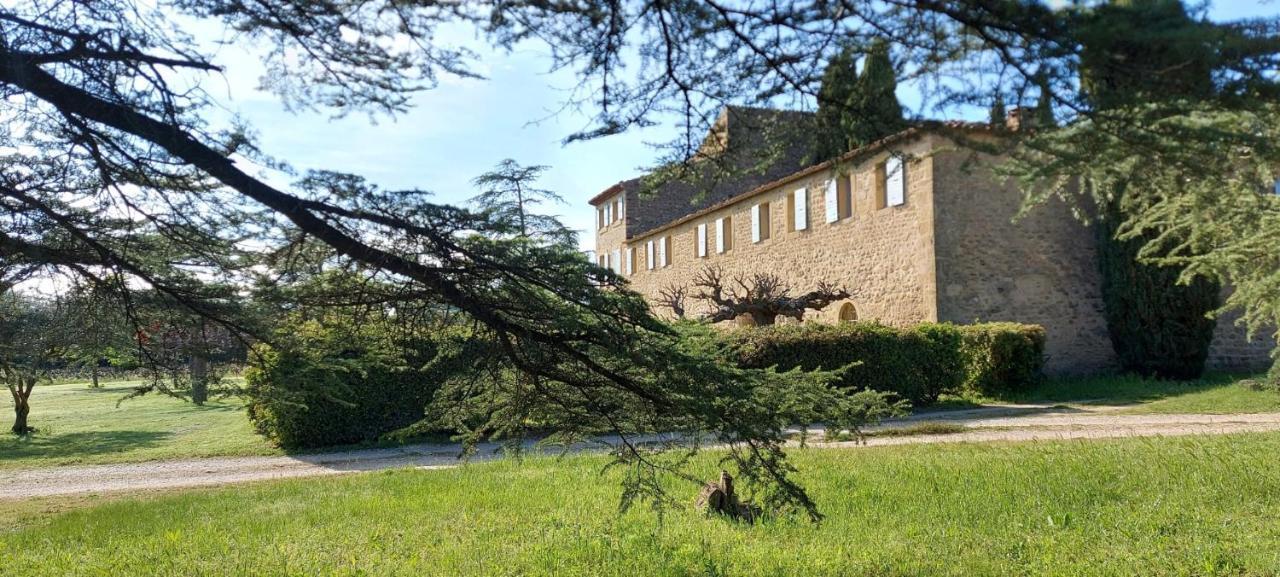 Chateau Saint-Pierre De Mejans Puyvert Bagian luar foto