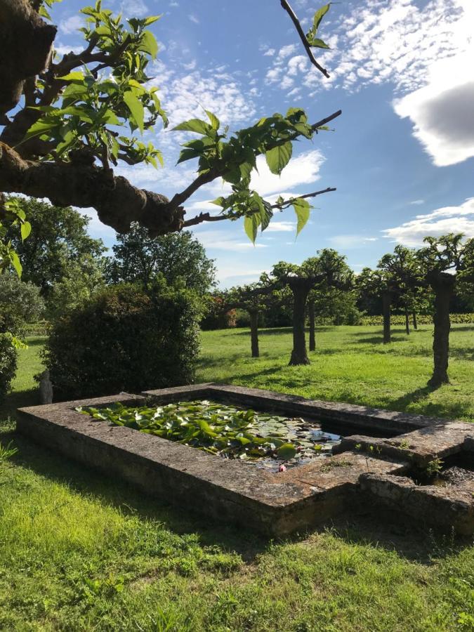 Chateau Saint-Pierre De Mejans Puyvert Bagian luar foto