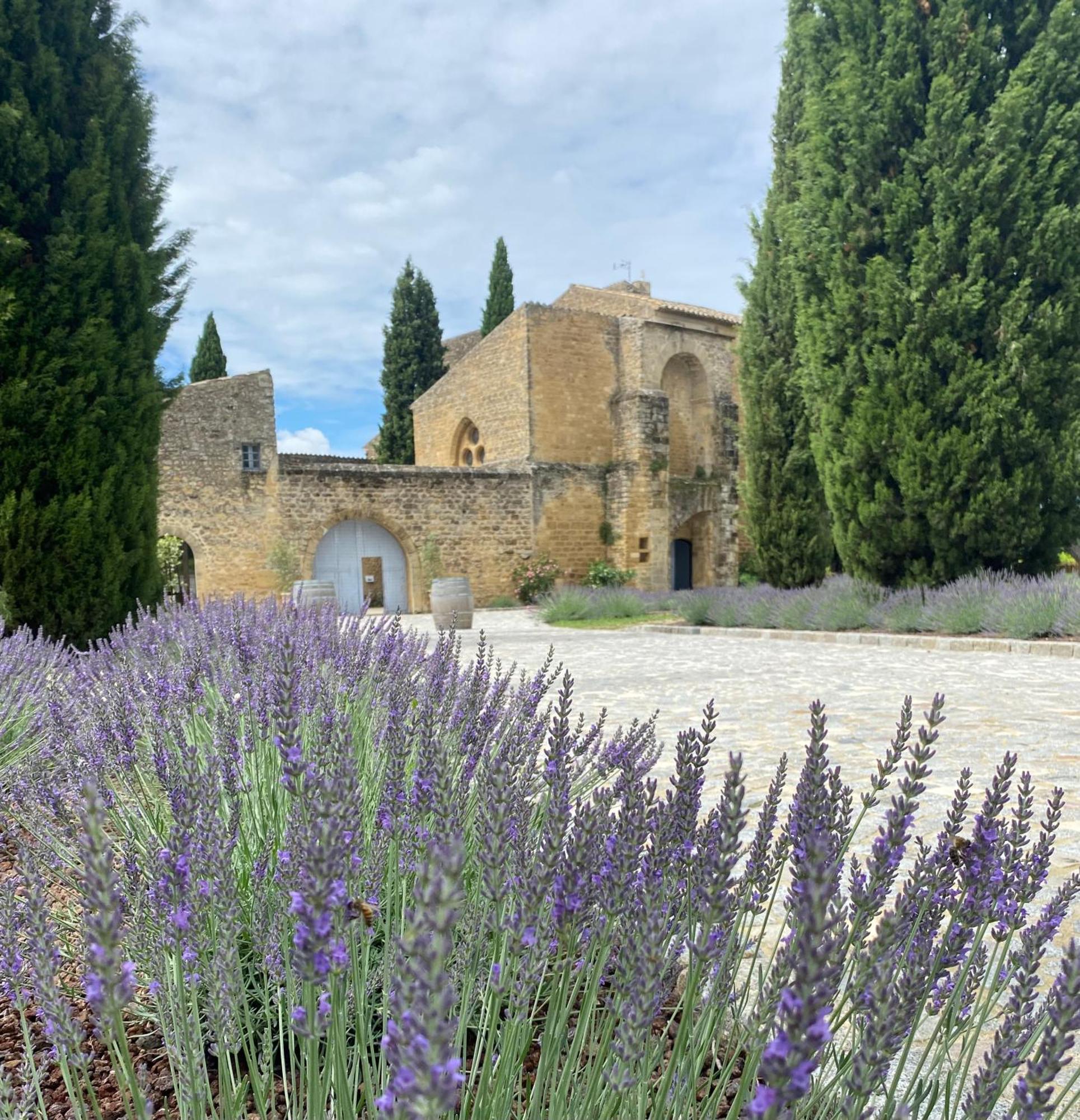 Chateau Saint-Pierre De Mejans Puyvert Bagian luar foto