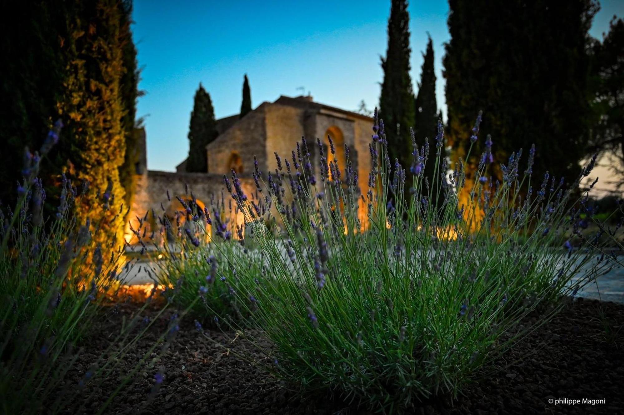 Chateau Saint-Pierre De Mejans Puyvert Bagian luar foto