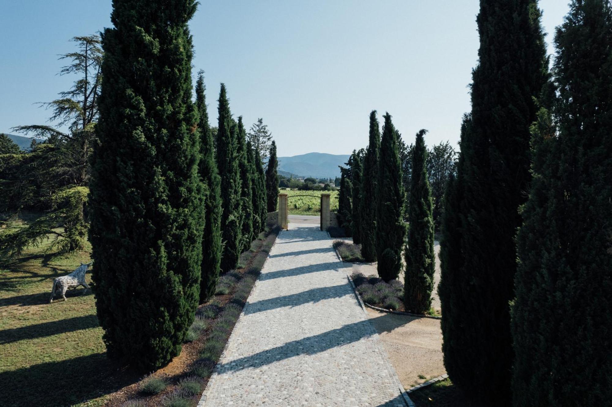 Chateau Saint-Pierre De Mejans Puyvert Bagian luar foto